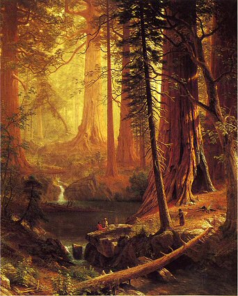Eastern territory: Werewolf Main camp B-giant_redwood_trees